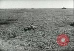Standbild deutsche Truppen Russland, 1942, aus Sekunde 51 historischem Filmmaterial Videoclip 65675064769