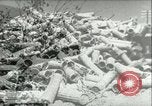Image of German troops Russia, 1942, second 1 stock footage video 65675064771