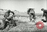 Image of German troops Russia, 1942, second 56 stock footage video 65675064771