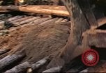 Image of Canol Project workers Canada, 1943, second 52 stock footage video 65675064776