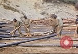 Immagine di Progetto Canol 388 Reggimento Canada, 1943, secondo 45 filmato di repertorio 65675064777