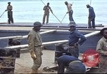 Immagine di 388 Reggimento di lavoratori a progetto Canol Canada, 1943, secondo 51 filmato di repertorio 65675064778