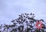 Image of Canol Project Canada , 1943, second 11 stock footage video 65675064786