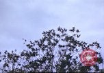Image of Canol Project Canada , 1943, second 12 stock footage video 65675064786