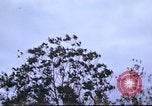 Image of Canol Project Canada , 1943, second 16 stock footage video 65675064786