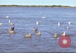 Image of Canol Project Canada, 1943, second 53 stock footage video 65675064787