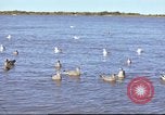 Image of Canol Project Canada, 1943, second 54 stock footage video 65675064787