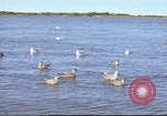 Image of Canol Project Canada, 1943, second 55 stock footage video 65675064787