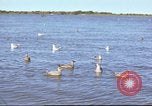 Image of Canol Project Canada, 1943, second 56 stock footage video 65675064787