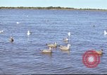 Image of Canol Project Canada, 1943, second 57 stock footage video 65675064787