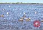 Image of Canol Project Canada, 1943, second 58 stock footage video 65675064787