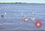 Image of Canol Project Canada, 1943, second 59 stock footage video 65675064787