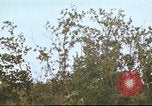 Image of Canol Project Canada, 1943, second 60 stock footage video 65675064787