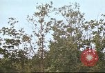 Image of Canol Project Canada, 1943, second 61 stock footage video 65675064787