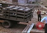 Image of Canol Project Fairbanks Alaska USA, 1943, second 49 stock footage video 65675064789