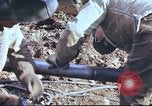 Image of Canol Project Fairbanks Alaska USA, 1943, second 23 stock footage video 65675064791