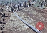 Image of Canol Project Fairbanks Alaska USA, 1943, second 26 stock footage video 65675064791