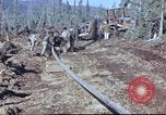 Image of Canol Project Fairbanks Alaska USA, 1943, second 27 stock footage video 65675064791