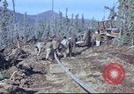 Image of Canol Project Fairbanks Alaska USA, 1943, second 29 stock footage video 65675064791