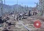 Image of Canol Project Fairbanks Alaska USA, 1943, second 30 stock footage video 65675064791