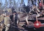 Image of Canol Project Fairbanks Alaska USA, 1943, second 32 stock footage video 65675064791