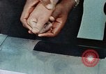 Standbild Federal Bureau Of Investigation) Quantico Virginia USA, 1977, aus Sekunde 13 historischem Filmmaterial Videoclip 65675064798