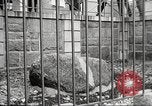 Image Plymouth Rock Plymouth Massachusetts USA, 1924, de la seconde 43 séquences d'archives historiques vidéo 65675064800