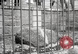 Image Plymouth Rock Plymouth Massachusetts USA, 1924, de la seconde 44 séquences d'archives historiques vidéo 65675064800