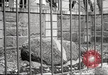Image Plymouth Rock Plymouth Massachusetts USA, 1924, de la seconde 45 séquences d'archives historiques vidéo 65675064800