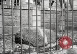 Image Plymouth Rock Plymouth Massachusetts USA, 1924, de la seconde 46 séquences d'archives historiques vidéo 65675064800