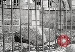 Image Plymouth Rock Plymouth Massachusetts USA, 1924, de la seconde 47 séquences d'archives historiques vidéo 65675064800