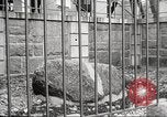 Image Plymouth Rock Plymouth Massachusetts USA, 1924, de la seconde 48 séquences d'archives historiques vidéo 65675064800