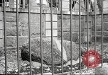 Image Plymouth Rock Plymouth Massachusetts USA, 1924, de la seconde 49 séquences d'archives historiques vidéo 65675064800