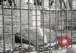 Image Plymouth Rock Plymouth Massachusetts USA, 1924, de la seconde 50 séquences d'archives historiques vidéo 65675064800