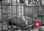 Image Plymouth Rock Plymouth Massachusetts USA, 1924, de la seconde 51 séquences d'archives historiques vidéo 65675064800