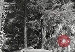 Immagine di Palisades Interstate Park New Deal miglioramenti New York United States USA, 1937, secondo 4 filmato di repertorio 65675064813