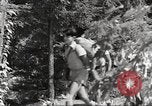 Immagine di Palisades Interstate Park New Deal miglioramenti New York United States USA, 1937, secondo 7 filmato di repertorio 65675064813