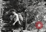 Immagine di Palisades Interstate Park New Deal miglioramenti New York United States USA, 1937, secondo 9 filmato di repertorio 65675064813