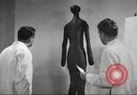 Immagine di Works Progress Administration aiuta la polizia New York United States USA, 1937, secondo 19 filmato di repertorio 65675064814