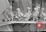 Image of United States Army trainees Columbus Ohio USA, 1925, second 27 stock footage video 65675064820
