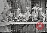 Image of United States Army trainees Columbus Ohio USA, 1925, second 28 stock footage video 65675064820