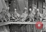 Image of United States Army trainees Columbus Ohio USA, 1925, second 29 stock footage video 65675064820