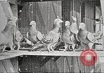Image of United States Army trainees Columbus Ohio USA, 1925, second 30 stock footage video 65675064820