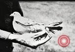 Image of United States Army trainees Columbus Ohio USA, 1925, second 34 stock footage video 65675064820
