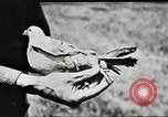 Image of United States Army trainees Columbus Ohio USA, 1925, second 35 stock footage video 65675064820