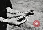 Image of United States Army trainees Columbus Ohio USA, 1925, second 36 stock footage video 65675064820