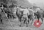 Image of United States Army trainees Columbus Ohio USA, 1925, second 18 stock footage video 65675064821