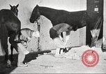 Image of United States Army trainees Columbus Ohio USA, 1925, second 24 stock footage video 65675064821
