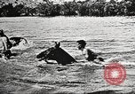 Image of United States Army trainees Columbus Ohio USA, 1925, second 36 stock footage video 65675064821