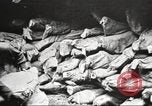 Image of Quartermaster Corps Columbus Ohio USA, 1925, second 23 stock footage video 65675064826